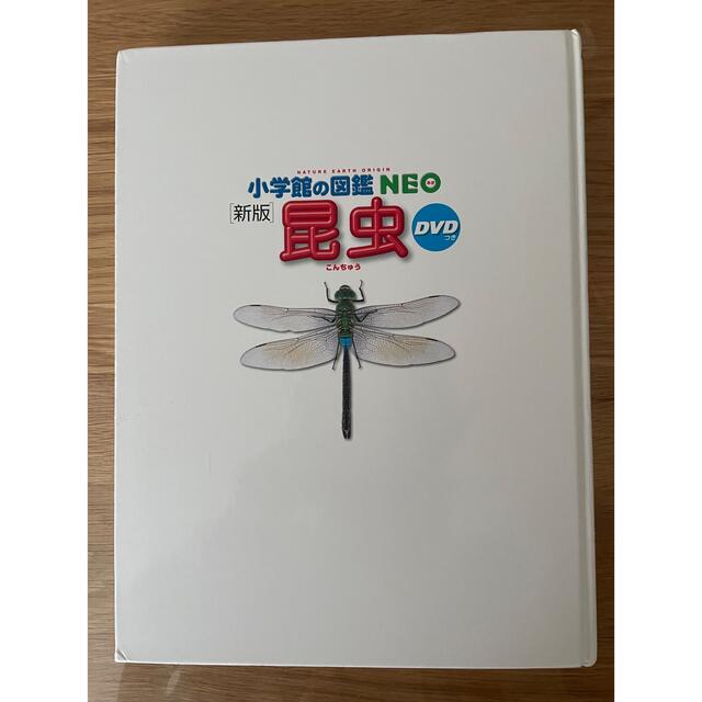 小学館(ショウガクカン)の小学館の図鑑 NEO 新版 昆虫 エンタメ/ホビーの本(絵本/児童書)の商品写真