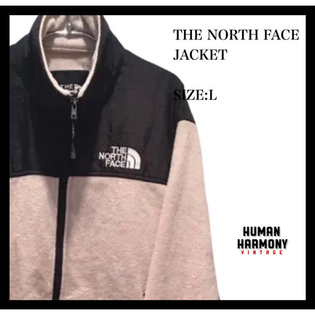 THE NORTH FACE(ザノースフェイス)のノースフェイス デナリ マウンテン ジャケット tnf 90s  フリース メンズのジャケット/アウター(その他)の商品写真