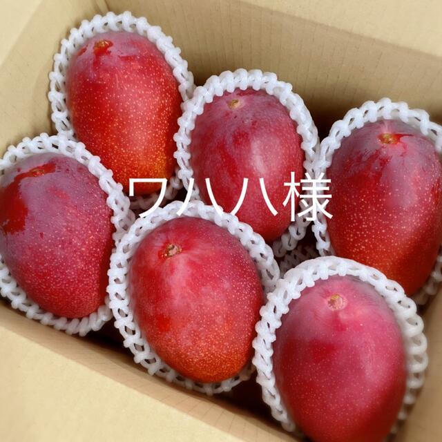 宮崎県産 完熟マンゴー M x 6 1.5kg - フルーツ