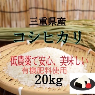 三重県産　コシヒカリ20kg   精米出来ます(米/穀物)