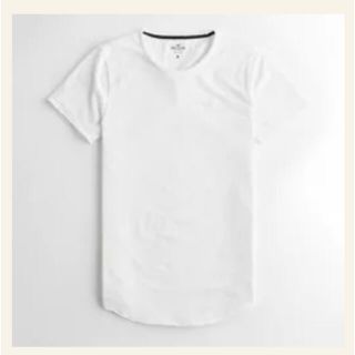 ホリスター(Hollister)のhollister ホリスターTシャツ ホワイト(Tシャツ/カットソー(半袖/袖なし))