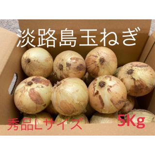 ●秀品Lサイズ5Kg●淡路島玉ねぎ　たまねぎ　玉葱(野菜)