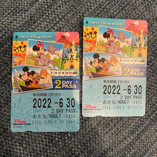 ディズニー(Disney)のディズニーリゾートライン　2DAY PASS  大人2枚(遊園地/テーマパーク)