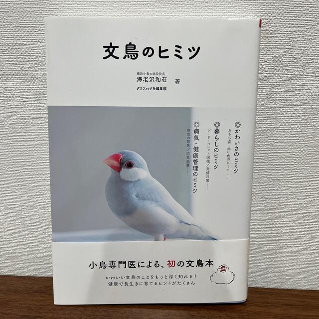 文鳥のヒミツ エンタメ/ホビーの本(住まい/暮らし/子育て)の商品写真