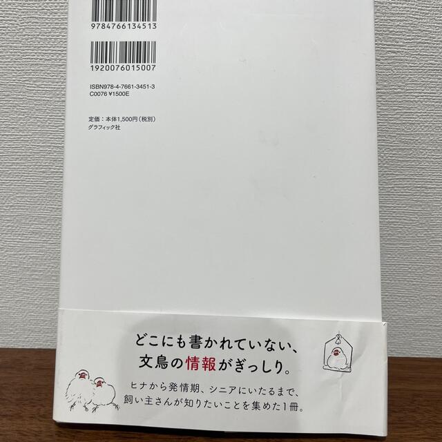 文鳥のヒミツ エンタメ/ホビーの本(住まい/暮らし/子育て)の商品写真