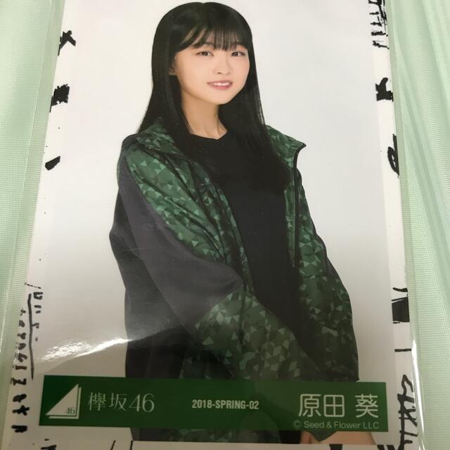 欅坂46(けやき坂46)(ケヤキザカフォーティーシックス)の欅坂46 原田葵 生写真 エンタメ/ホビーのタレントグッズ(アイドルグッズ)の商品写真