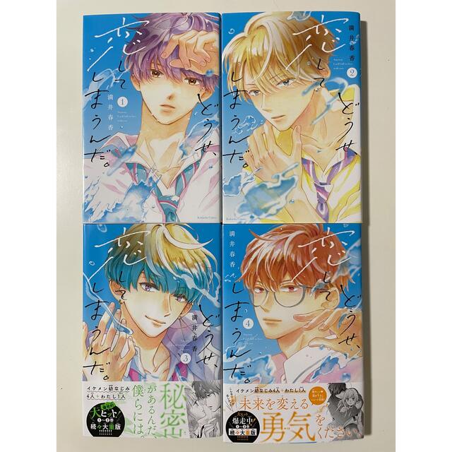 講談社(コウダンシャ)のどうせ、恋してしまうんだ。　１〜４巻セッ特典ペーパー付き エンタメ/ホビーの漫画(少女漫画)の商品写真