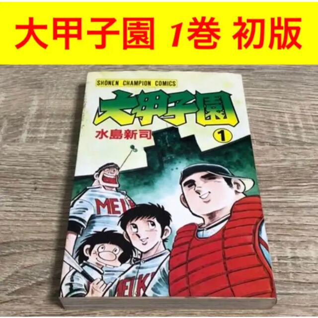 無料サンプルOK 大甲子園 水島新司 秋田書店 16 superior-quality.ru:443