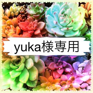 yuka様専用(その他)