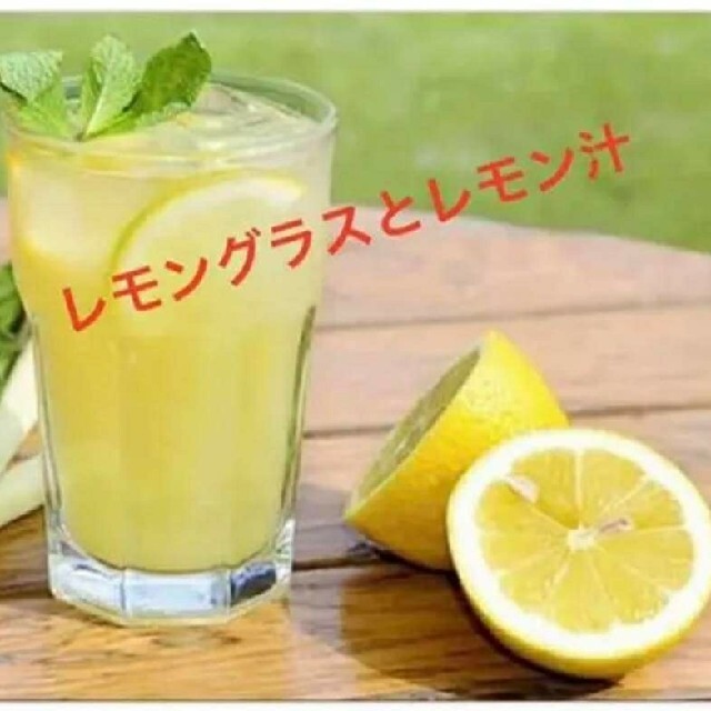 紫レモングラス苗３本最高の香り 食品/飲料/酒の食品(野菜)の商品写真