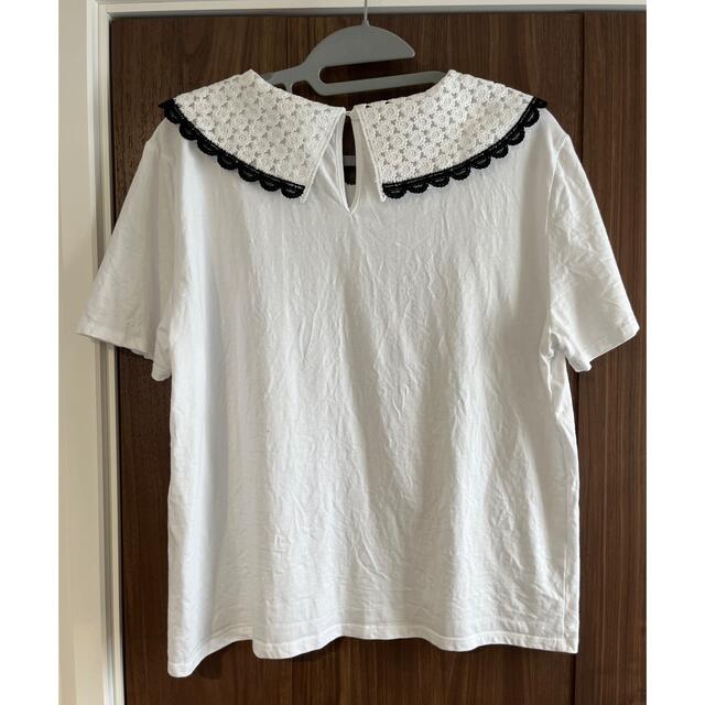 ZARA(ザラ)の【ZARA】襟レースTシャツ　Ｌ レディースのトップス(Tシャツ(半袖/袖なし))の商品写真