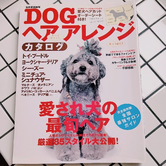 Ｄｏｇヘアアレンジカタログ 愛され犬の最旬ヘア厳選８５スタイル大公開！ エンタメ/ホビーの本(住まい/暮らし/子育て)の商品写真