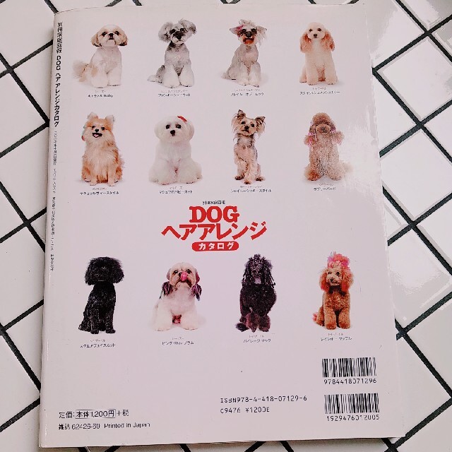 Ｄｏｇヘアアレンジカタログ 愛され犬の最旬ヘア厳選８５スタイル大公開！ エンタメ/ホビーの本(住まい/暮らし/子育て)の商品写真