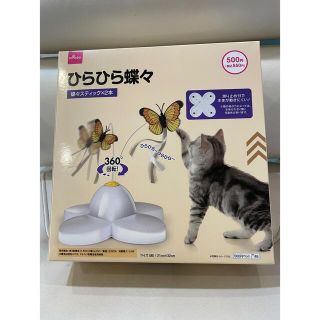 ひらひら蝶々(猫)