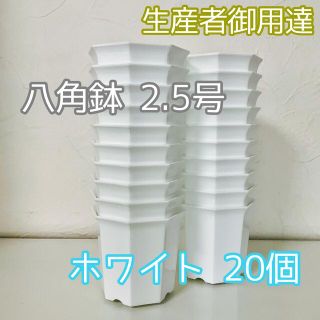 八角鉢 2.5号 20個 プラ鉢(プランター)