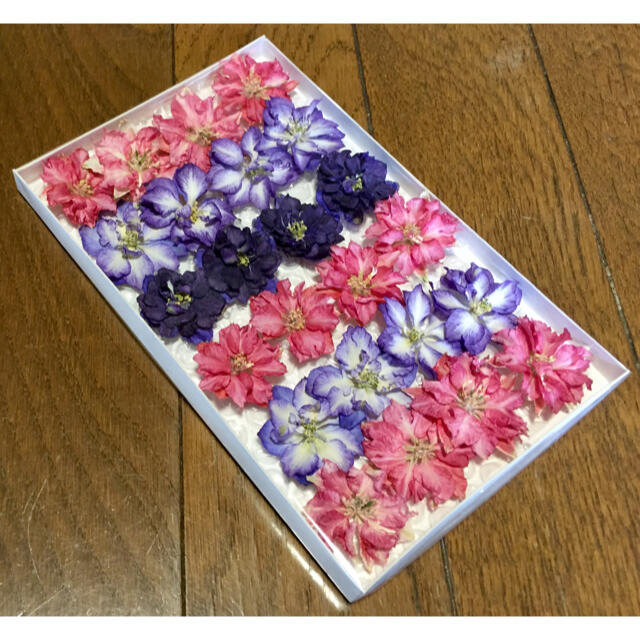 100円お値引き‼️ 14 銀の紫陽花　真夏のドライフラワーフェスタ‼️ ハンドメイドのフラワー/ガーデン(ドライフラワー)の商品写真