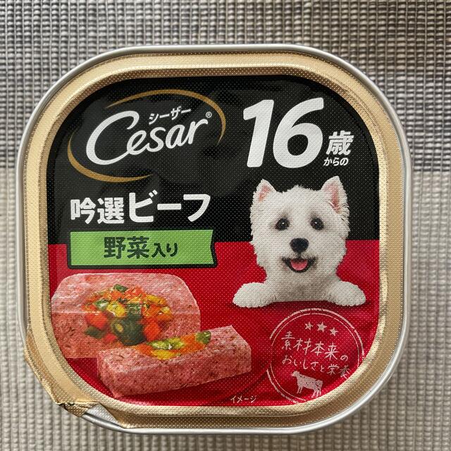 CASAR(シーザー)のドッグフード シーザー シニア用 その他のペット用品(ペットフード)の商品写真