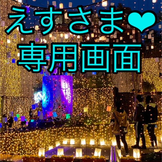 えすさま❤︎専用ページ | www.innoveering.net