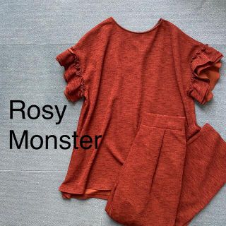 Rosy Monster 袖フリル 春夏ニットセットアップ S(セット/コーデ)