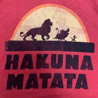 ディズニー(Disney)のライオンキング ハクナ マタタ Ｔシャツ ディズニー(Tシャツ/カットソー(半袖/袖なし))