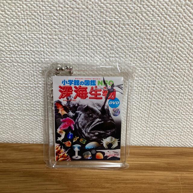 小学館(ショウガクカン)の小学館　図鑑ネオ　キーホルダー エンタメ/ホビーのコレクション(ノベルティグッズ)の商品写真