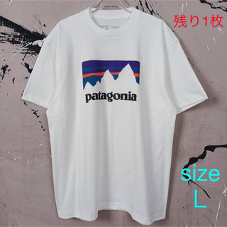 patagonia - 【パタゴニア】Tシャツ  白/Ｌ　ショップスティッカー　アウトドア　キャンプ　海