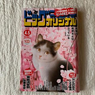 ショウガクカン(小学館)のビッグコミック オリジナル 2022年 4/5号(漫画雑誌)