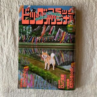 ショウガクカン(小学館)のビッグコミックオリジナル 増刊号 2022年 5/12号(漫画雑誌)