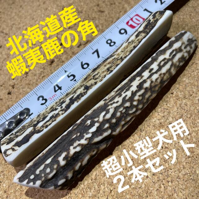 鹿の角　犬のおもちゃ　北海道産　　　　　　　　　　　　　　超小型犬用　2本セット その他のペット用品(犬)の商品写真