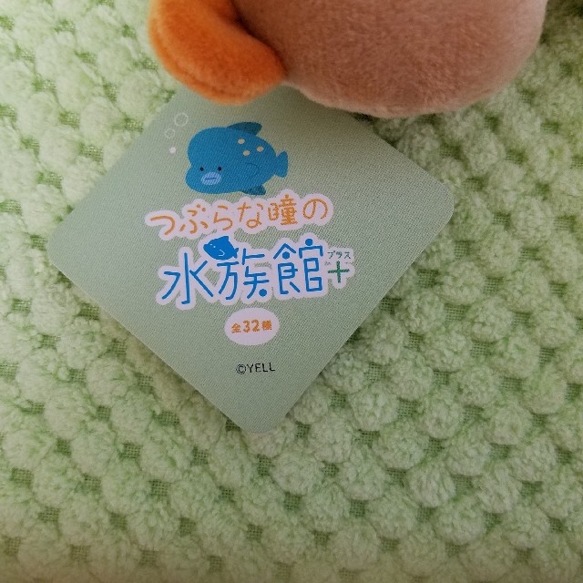 つぶらな瞳の水族館プラス　らっこ エンタメ/ホビーのおもちゃ/ぬいぐるみ(キャラクターグッズ)の商品写真