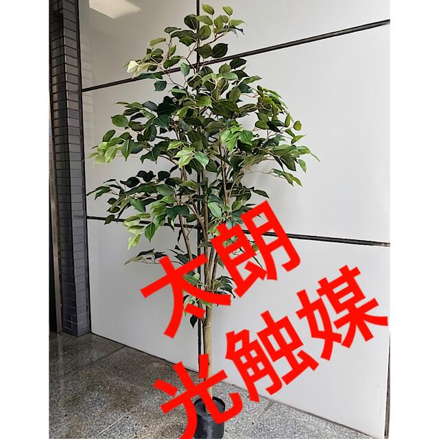 光触媒　人工観葉植物　ウォールグリーン　フェイクグリーン　ツピダンサス150