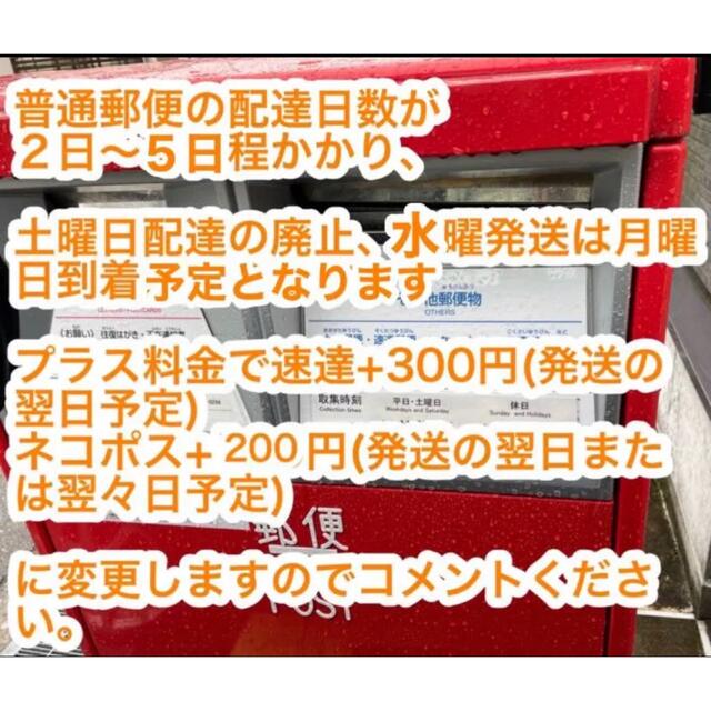 【新品最安値】イルミネーションライト ソフトチュール 生地  ウェルカムスペース ハンドメイドのウェディング(ウェルカムボード)の商品写真