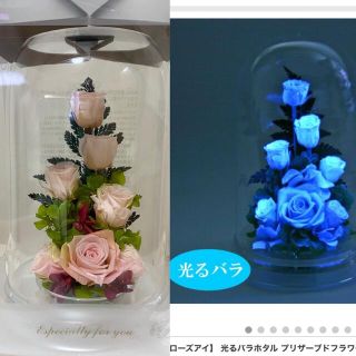 Art four season＊光る薔薇プリザーブドフラワー(その他)