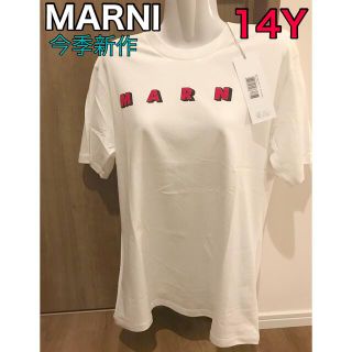 マルニ(Marni)のお早めに‼️MARNI ロゴ　Tシャツ ホワイト　新品未使用　14Y(Tシャツ(半袖/袖なし))