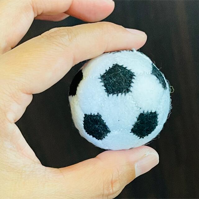 フェルトキーホルダー＊サッカーボール＊２個＊ ハンドメイドのアクセサリー(キーホルダー/ストラップ)の商品写真