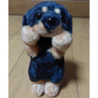 たっちぃZOO マスコット　ミニチュアダックスフント(ぬいぐるみ)