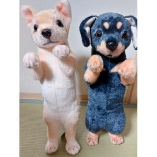 たっちぃZOO マスコット わんこ2種セット(ぬいぐるみ)