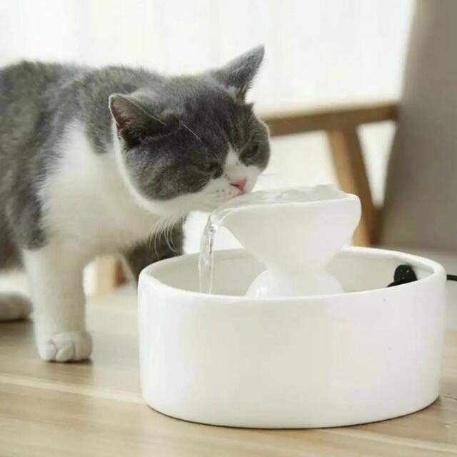 ペット 給水器 猫 犬 自動給水器 陶器 その他のペット用品(その他)の商品写真