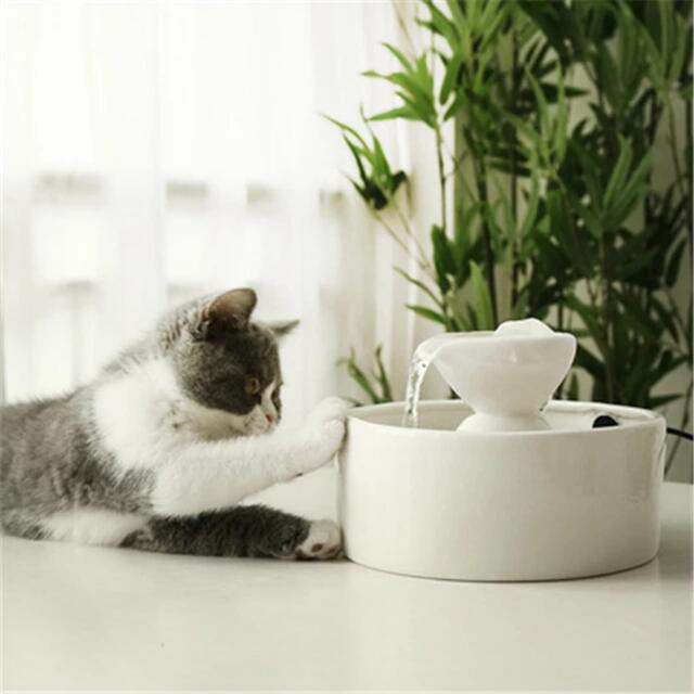 ペット 給水器 猫 犬 自動給水器 陶器 その他のペット用品(その他)の商品写真