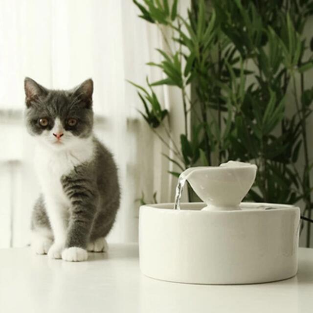 ペット 給水器 猫 犬 自動給水器 陶器 その他のペット用品(その他)の商品写真