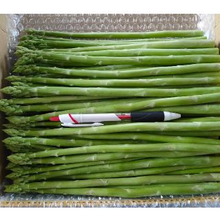 細アスパラガス 1kg(野菜)