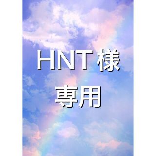 HNT様専用(その他)