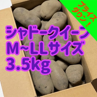 カラフルポテト　シャドークイーン　3.5kg(野菜)