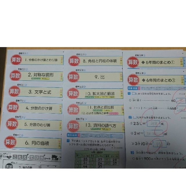 6年生　算数　カラーテスト　小学校テスト　ぶんけい エンタメ/ホビーの本(語学/参考書)の商品写真