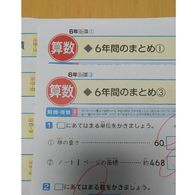 6年生　算数　カラーテスト　小学校テスト　ぶんけい エンタメ/ホビーの本(語学/参考書)の商品写真