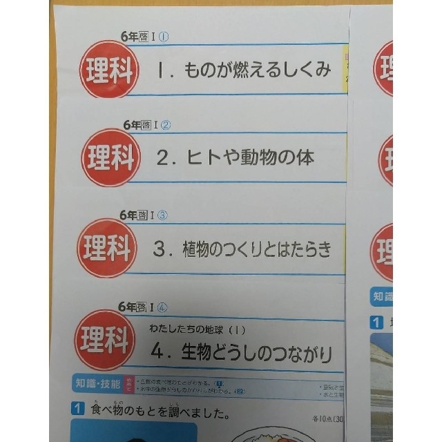 6年生　理科　カラーテスト　小学校テスト　ぶんけい エンタメ/ホビーの本(語学/参考書)の商品写真