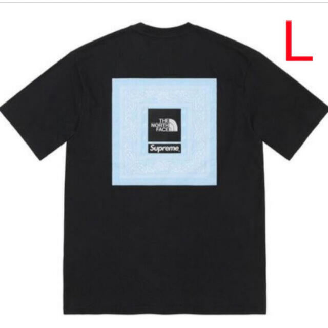 Supreme The North Face Bandana Tee Black