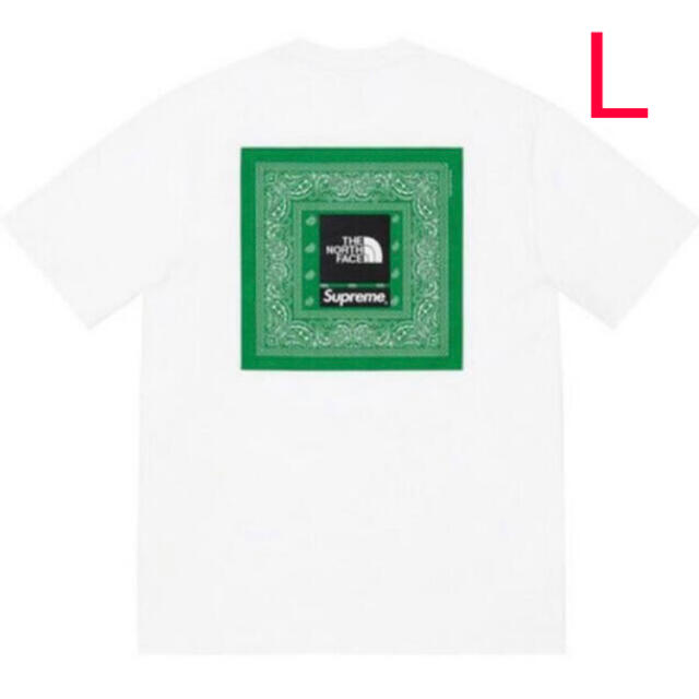 Supreme The North Face Bandana Tee Black