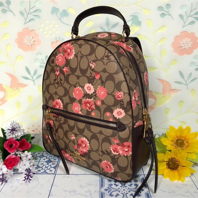 COACH - コーチ リュック バックパック ピンク花柄 ブラウン 【新品 ...