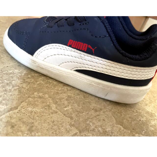 PUMA(プーマ)のPUMAスニーカー 14cm ネイビー×赤 キッズ/ベビー/マタニティのベビー靴/シューズ(~14cm)(スニーカー)の商品写真